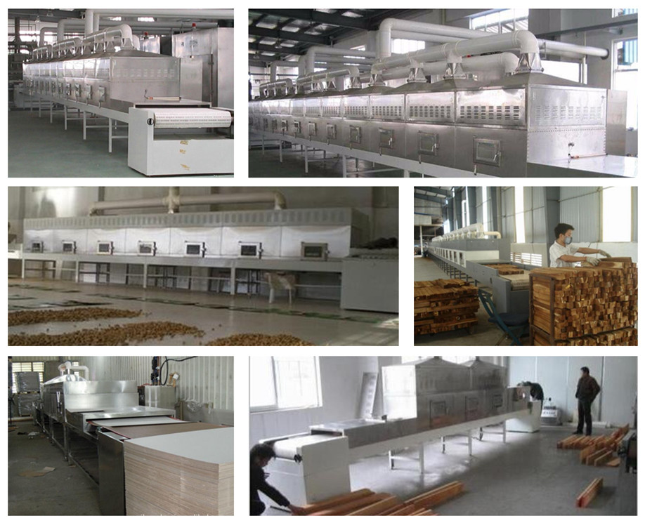 good quality continuous microwave deep drying machine for honeysuckle