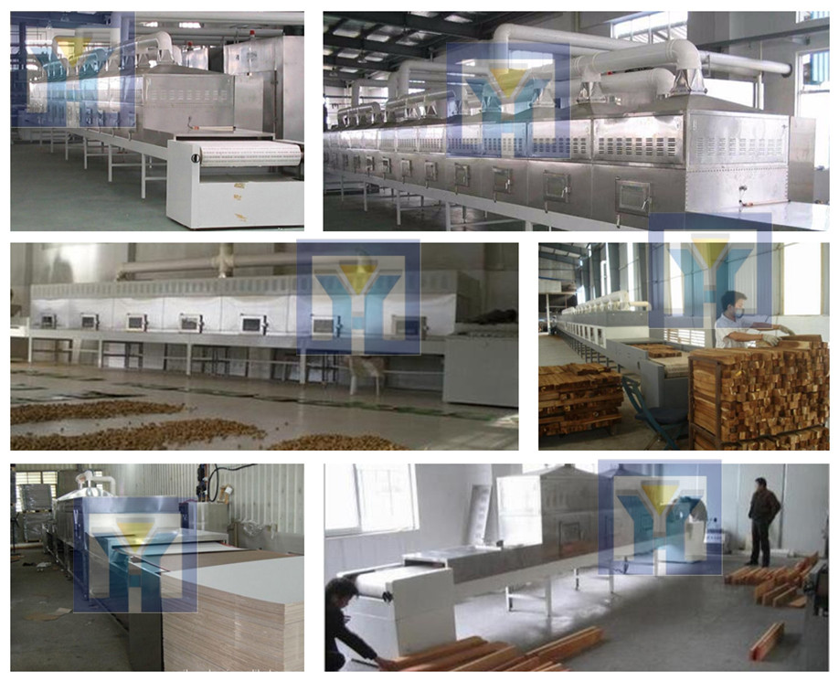 functional seafood food dehydrating machine/ shrimp/ seaweed dryer with CE approval