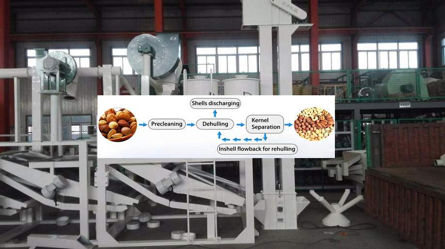 Good Price Cashew Nut Almond Strip Cutting Pistachio Sliver Peanut Kernel Cutter Nuts Peanut Slivering Machine