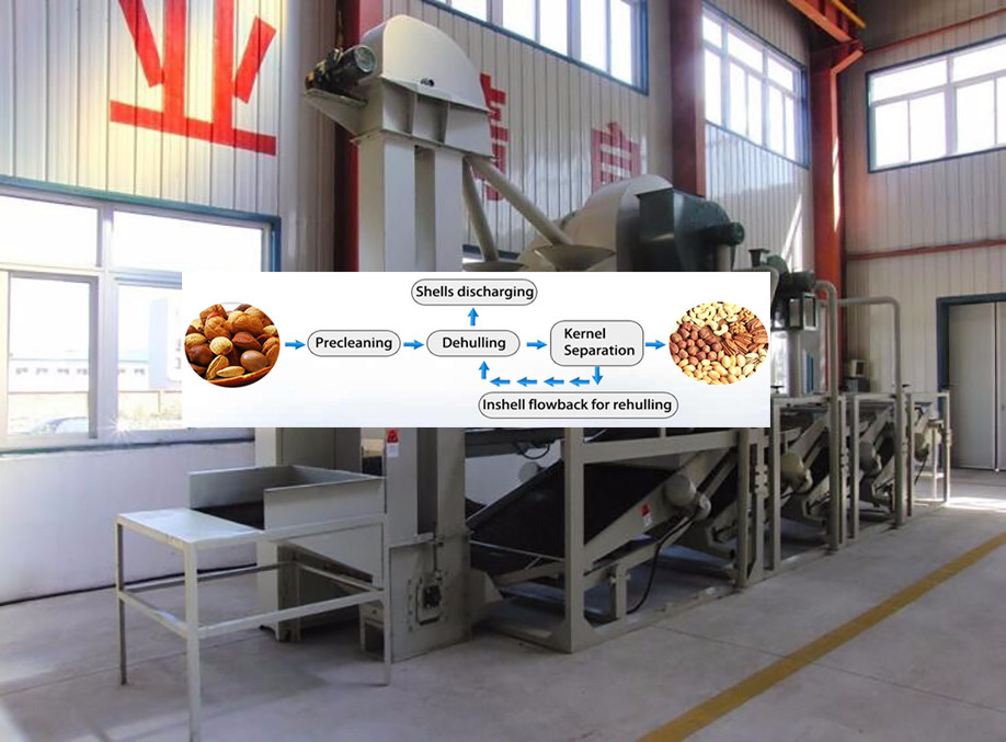 almond machine/almond cracking machine