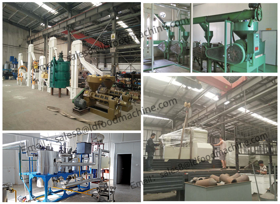 Grape seed oil extraction machine with good quality