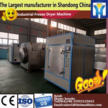 Small capacity high quality vacuum freeze dryer,lyophilizer for apples 100kg per batch