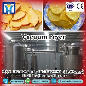 Fruit Chips LD Frying machinery