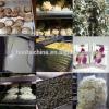 strawberry processing machine / food freeze dryers sale/dried fruits equipment