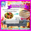 Bubble Vegetable Washer machinery|Bubble Vegetable and Fruit Washing machinery