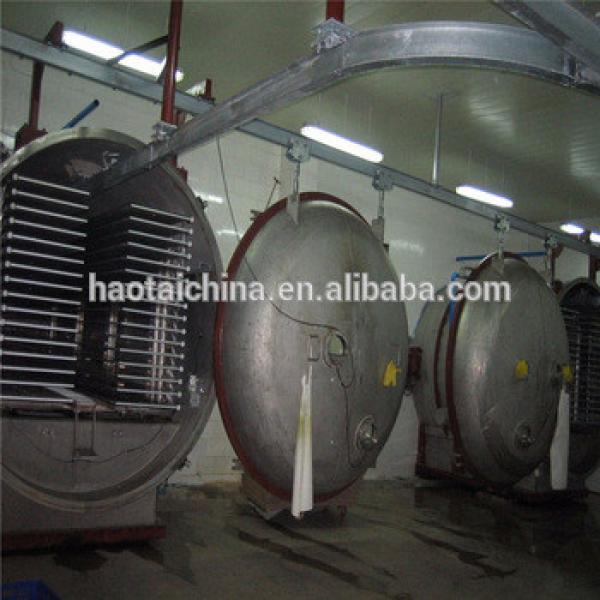 High quality vacuum berries and durian freeze dryer for sale vacuum lyophilizer