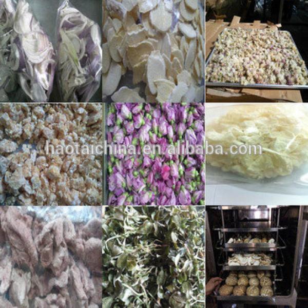 Freeze drying machine for flower,fruit, vegetable, food, meat, freeze drying machine cost/ freeze drying equipment price