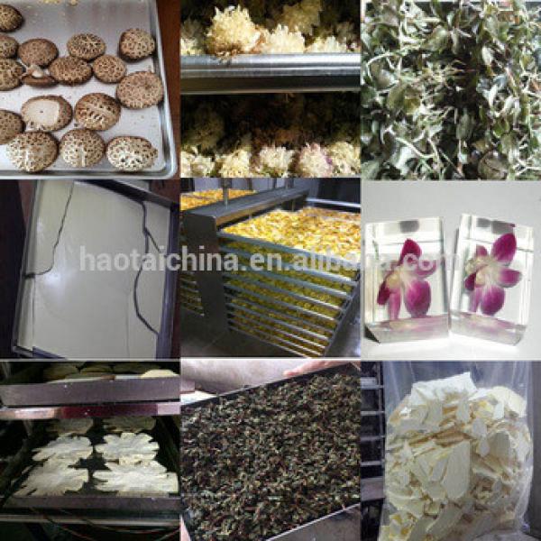 Milk powder vacuum freeze dryer freeze drying machine