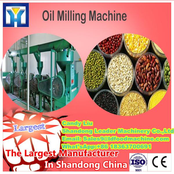 factory sale 600kg/h oil screw press machine