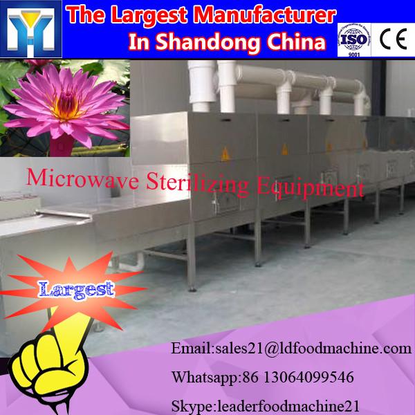 areca nut pinang microwave dryer and puffing machine