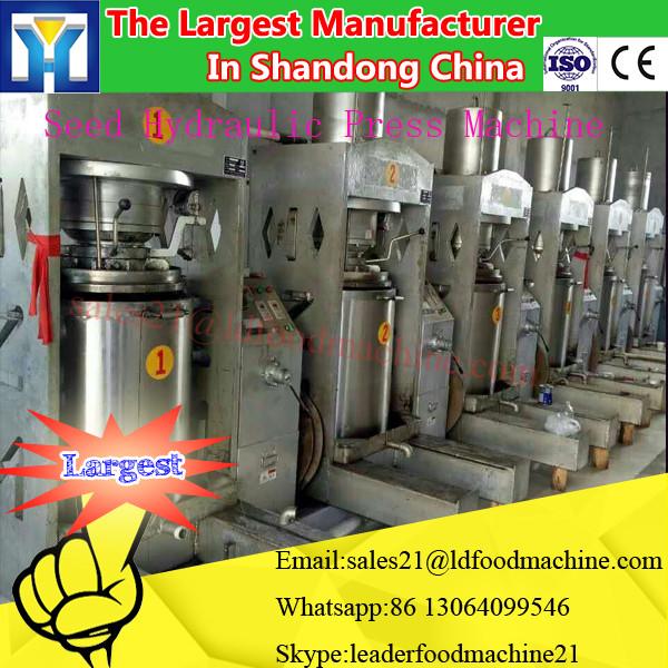 Automatic Operation Castor Oil Press Machinery