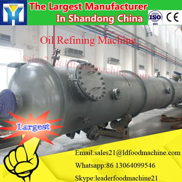 China most advanced technology oil press mill