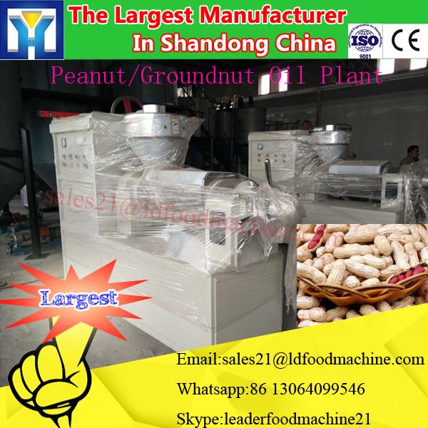 Best market vegetable oil extraction plant