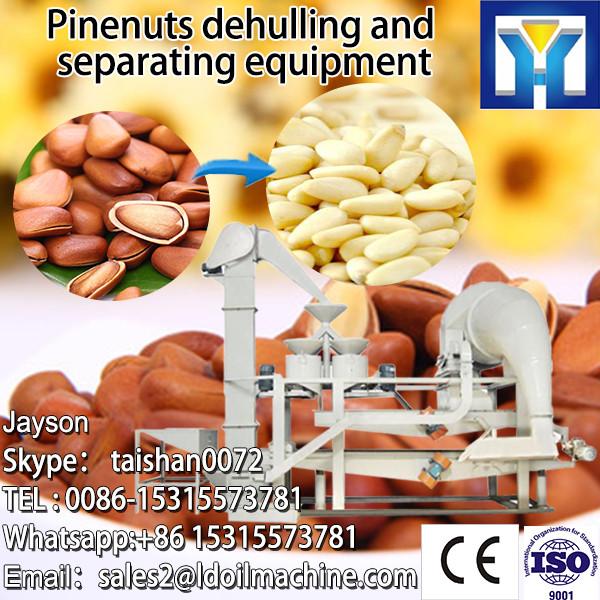 2013 Hot sale sunflower seed dehulling machine TFKH series