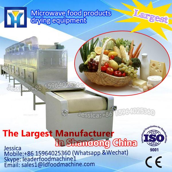 Mini vacuum food vacuum freeze drying machine