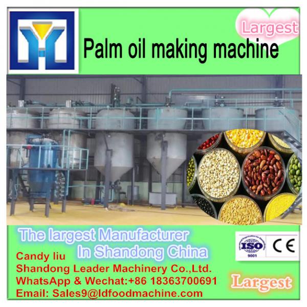 30 years experience factory price professional crude Palm oil processing machine in Malaysia