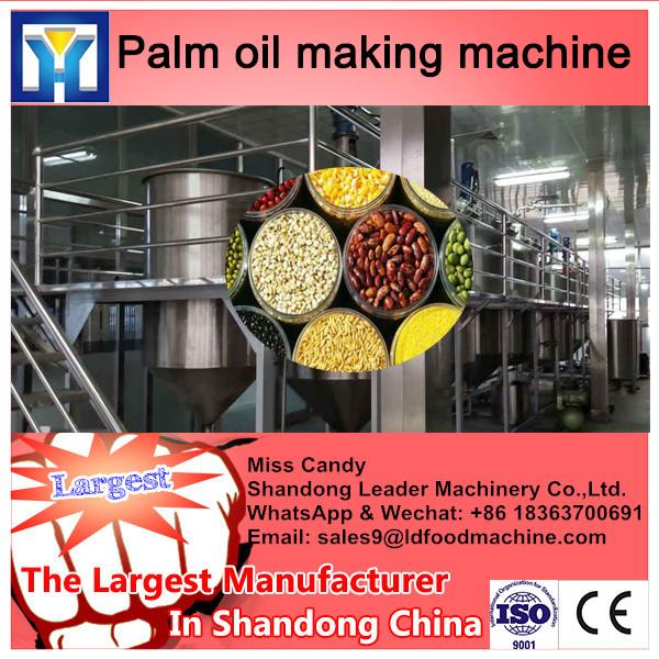 malaysia 100TPD crude palm kernel oil bleaching refinery for CPKO project