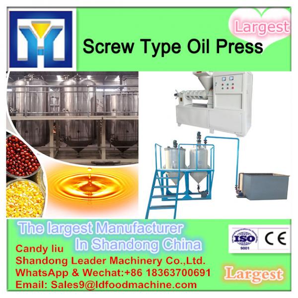 Iso Certificated Best Quality baobab seeds oil press machine, cold pressed argan oil press machine