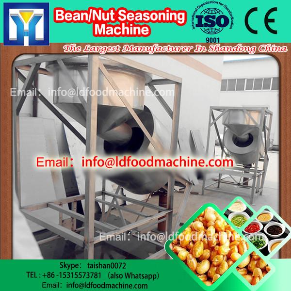 automatic fried food seasoning machinery manufacture