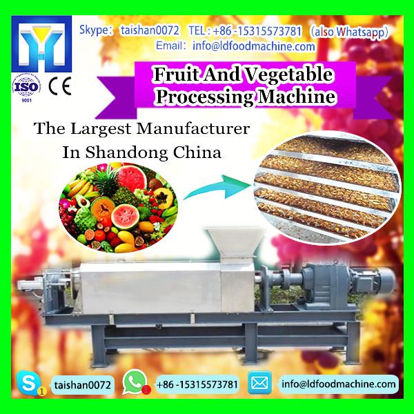 bubble fruit washing machinery | bubble fruit washer | apple orange washer machinery