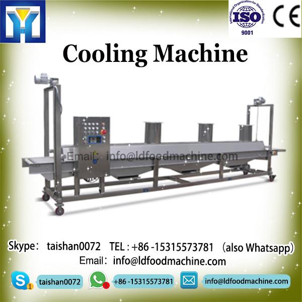 Automatic Nylon Mesh High speed Small Tea Bagpackmachinery