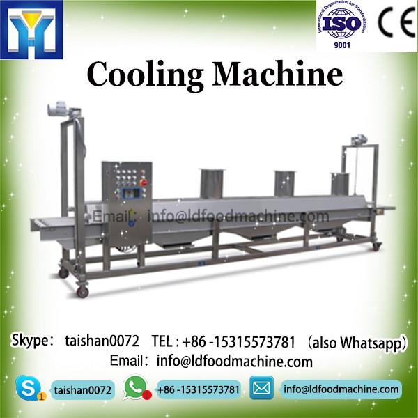 Automatic nylon flat small tea bagpackmachinery