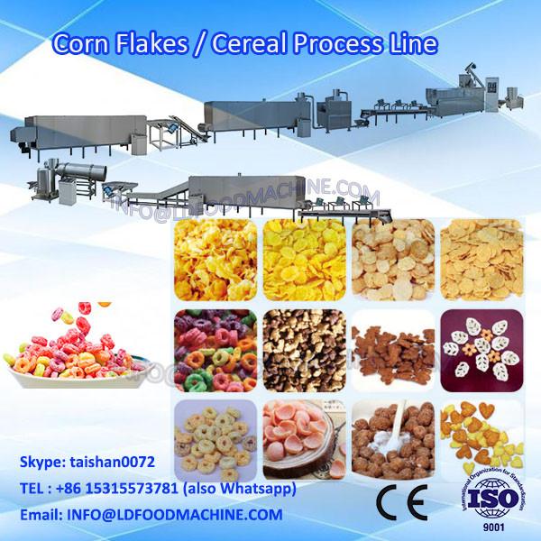 2018 Hot food extruders for sale Corn Flakes Twist snacks food extruder