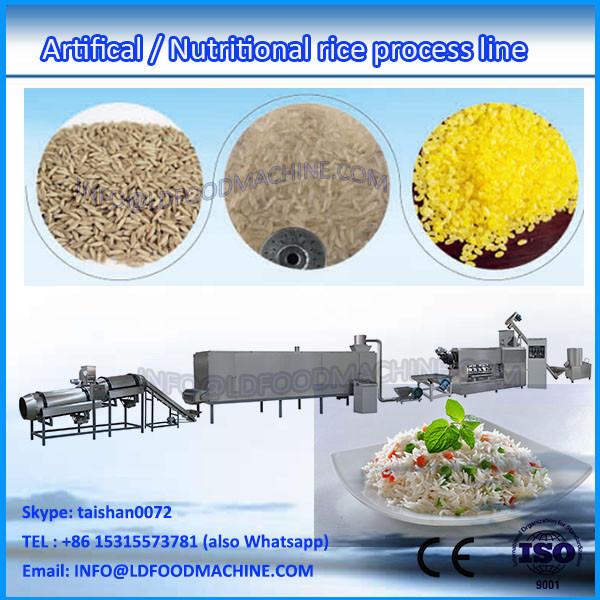 instant rice food machinery CE certificate 2017 hot sale double screw extruder