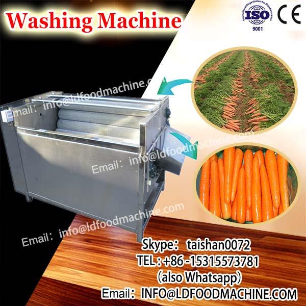 Celery cabbage Washer Vegetable Washer