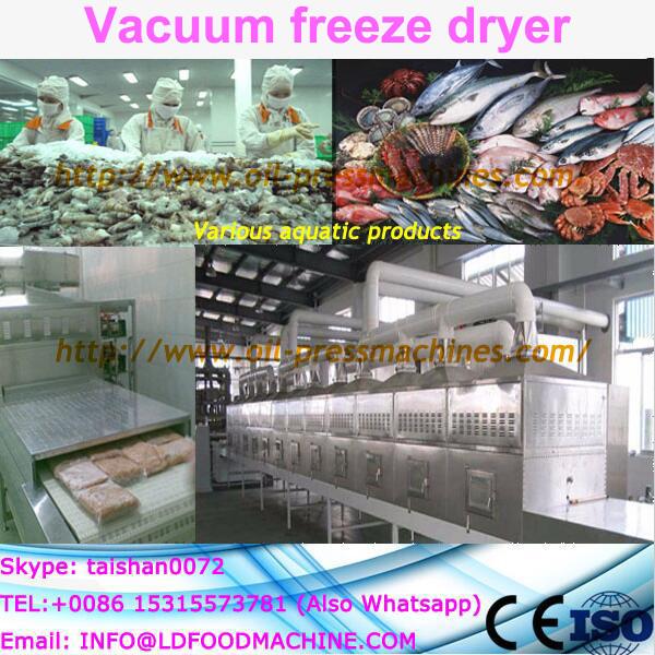 100kg Capacity LD freeze dried apple powder fruit powders 